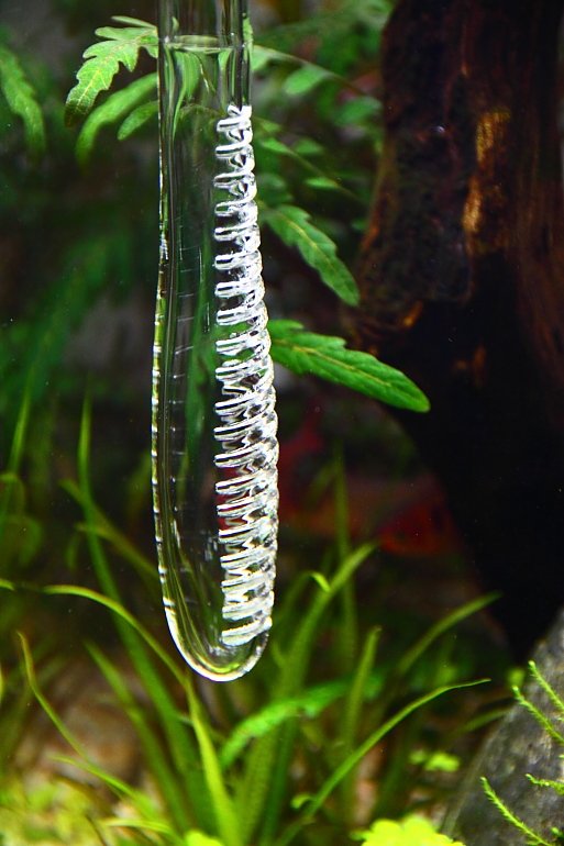 乾淨的進水口