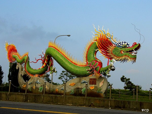 chinese dragon5