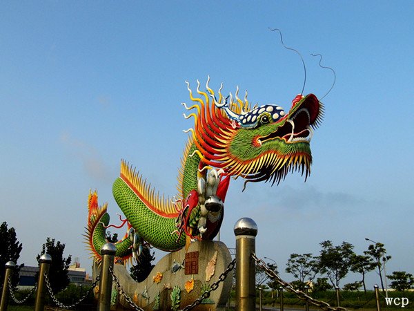 chinese dragon6