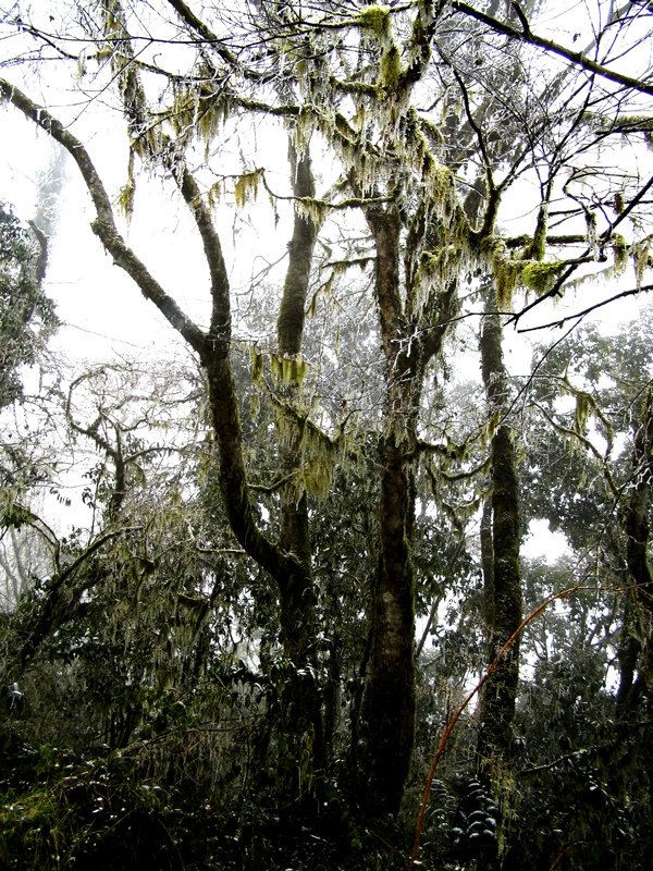 DSCI2498_1.jpg