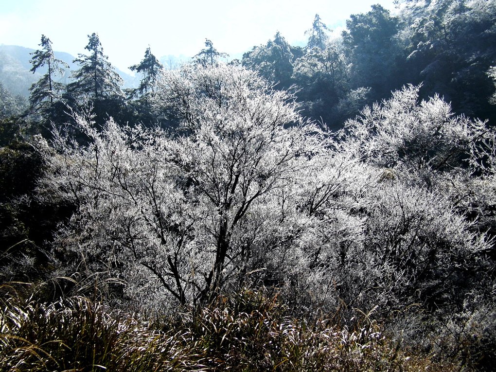 DSCI2734_1.jpg