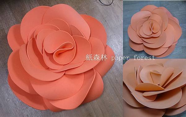 紅蘿菠.jpg