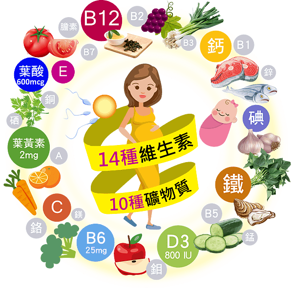 繯繞圖正確109-03.png