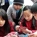 DSCN7919.JPG