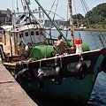DSCF4149.JPG
