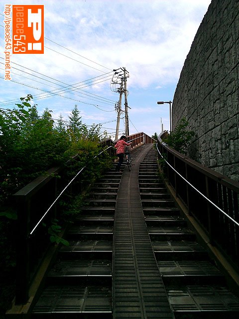 WP_002623
