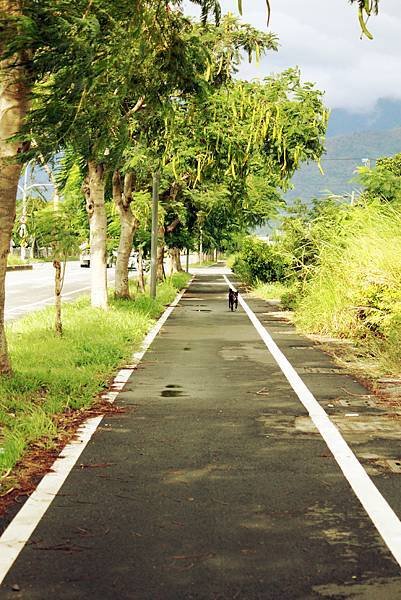 自行車道