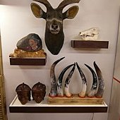SAM_2822