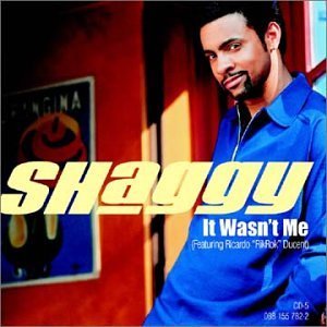 Shaggy - It Wasn_t Me