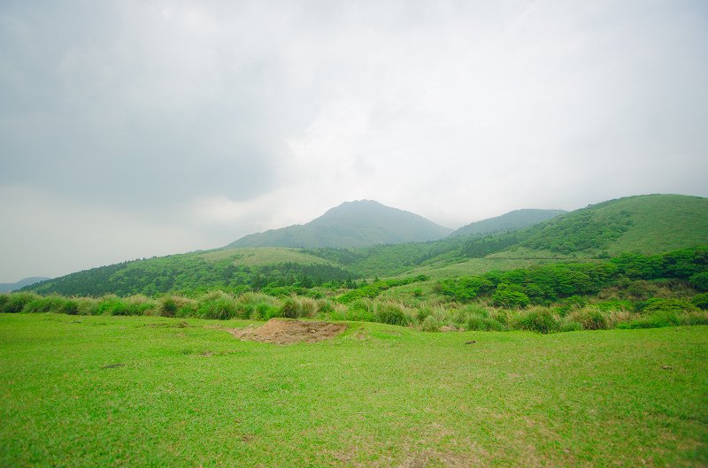 陽明山擎天崗草原