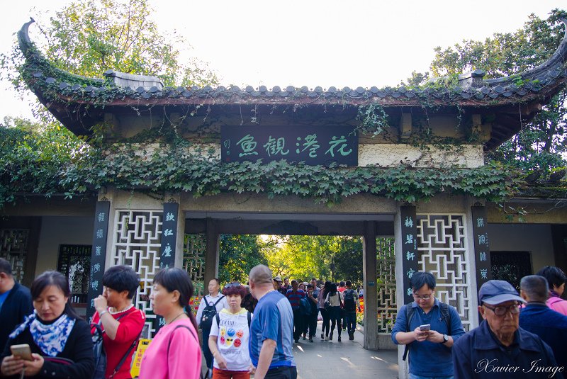 杭州西湖十景_花港觀魚 2