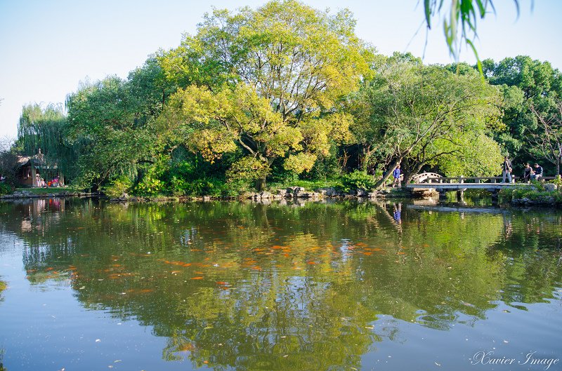 杭州西湖十景_花港觀魚_紅魚池