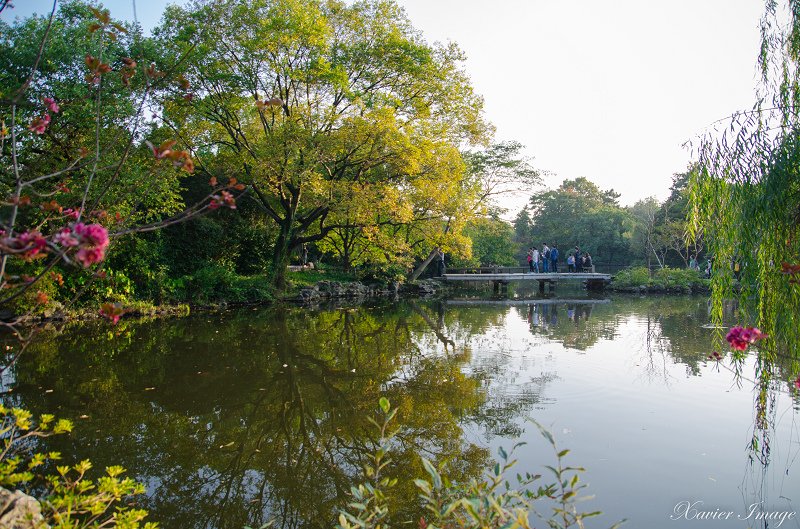 杭州西湖十景_花港觀魚_紅魚池 7