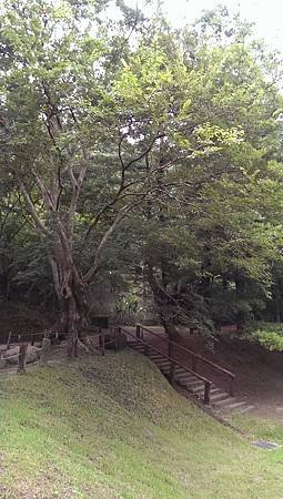 2014-07-11 16.54.21.jpg