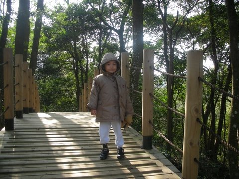 DSCN5517.jpg