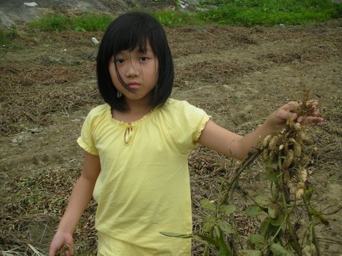 DSCN6393.jpg