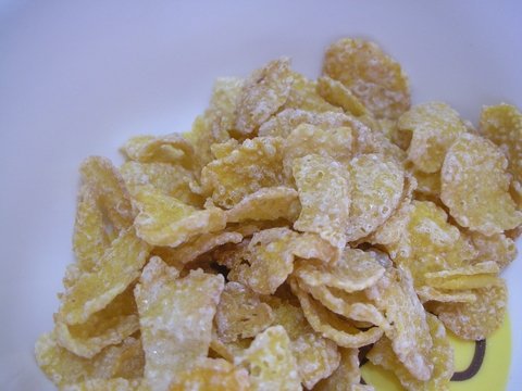 DSCN6512.jpg