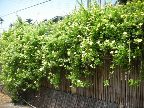 DSCN6932.jpg