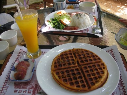 DSCN6937.jpg