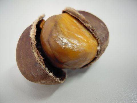 DSCN6525.jpg