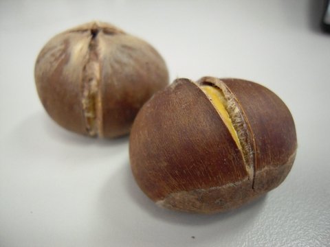 DSCN6528.jpg