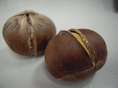 DSCN6529.jpg
