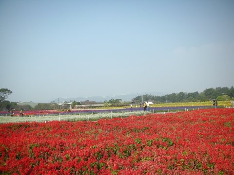 DSCN7291.jpg