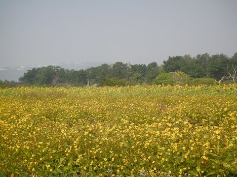 DSCN7293.jpg