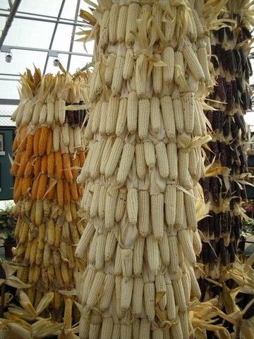 DSCN7307.jpg