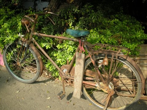 DSCN7652.jpg