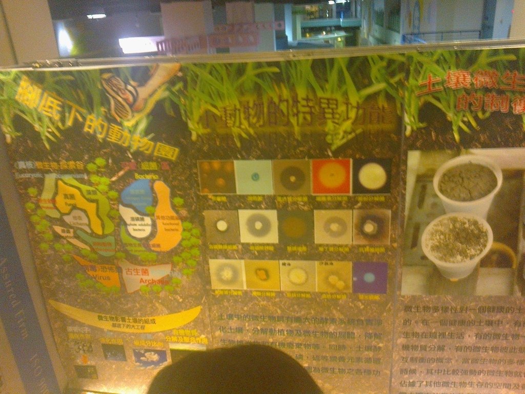 以“小動物”來描述多樣化而活動旺盛的土壤微生物.jpg