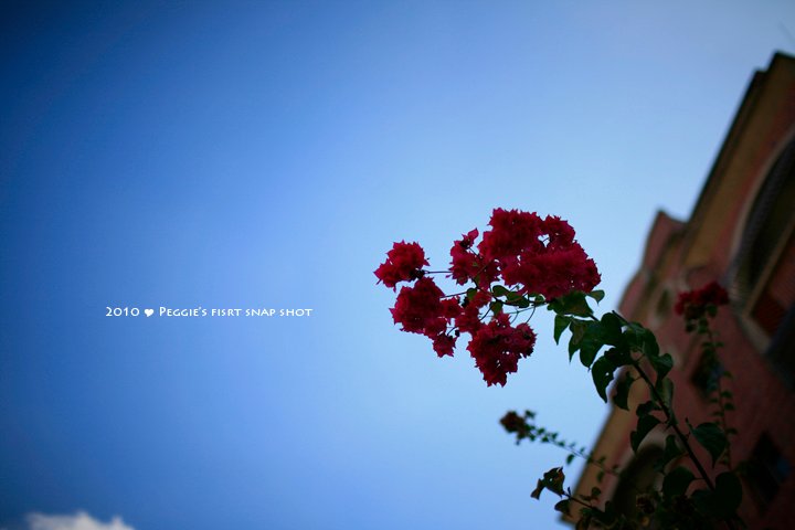 20100109