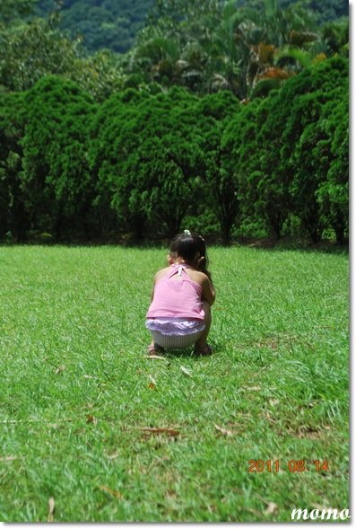 DSC_9549_調整大小.JPG