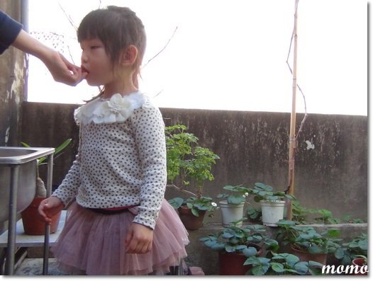 DSC08443_調整大小