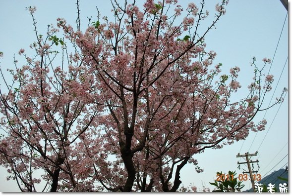 DSC_5810_調整大小.JPG