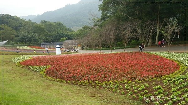 20161204 大溪花海農場_3106.jpg