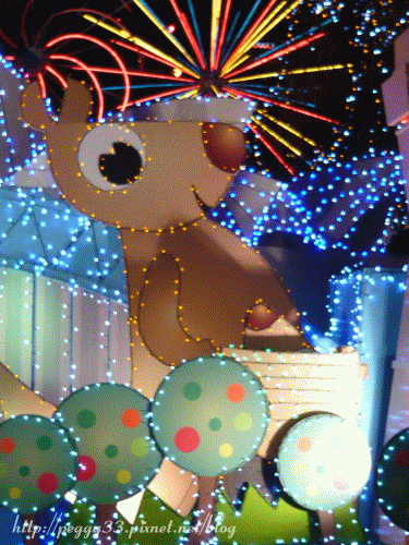 P1070247.gif