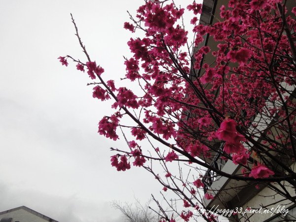 DSC02380.JPG