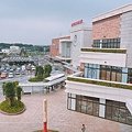 IMG_3461.JPG