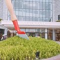 IMG_3335.JPG