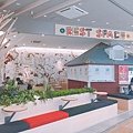 IMG_3447.JPG