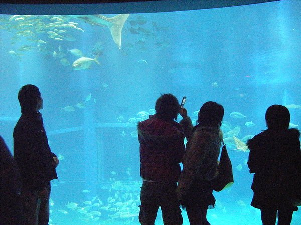 200712日本京都之旅 090.jpg