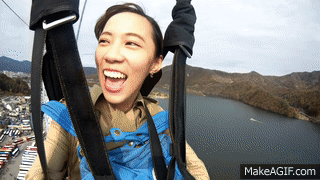 zip2.gif