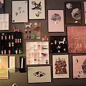 IMG_6547