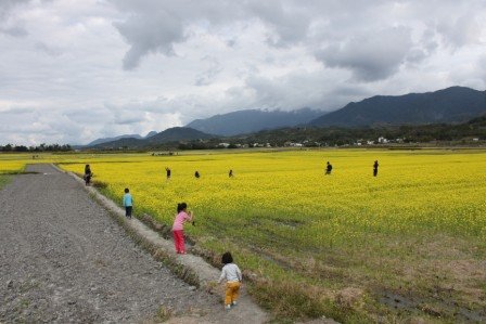 田梗上的小人們.jpg
