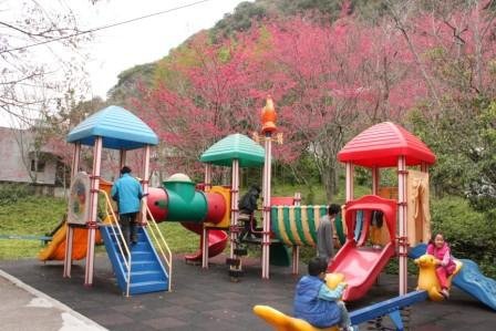 櫻花樹下的遊樂場.jpg