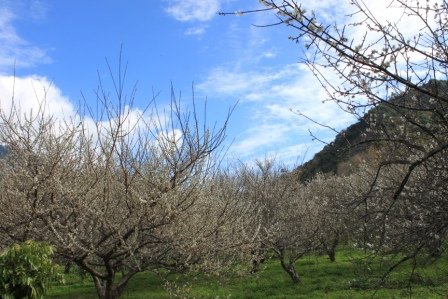 IMG_0071.jpg
