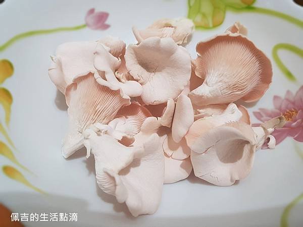 粉紅玫瑰菇13.jpg