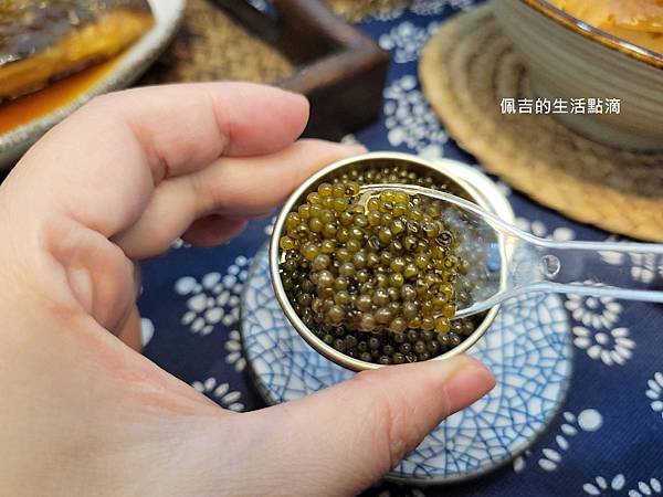 樂山莊石記鱘龍魚18.jpg