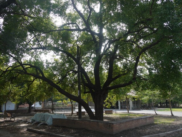P1070354